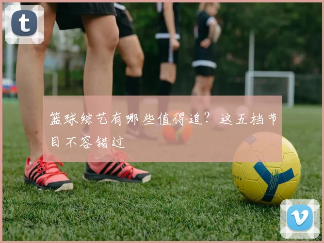 篮球综艺有哪些值得追?这五档节目不容错过