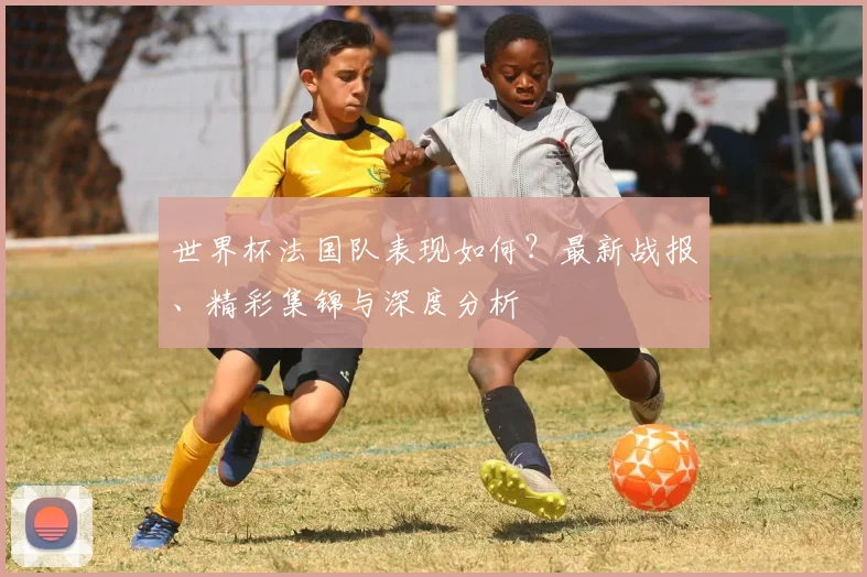 世界杯法国队表现如何?最新战报、精彩集锦与深度分析