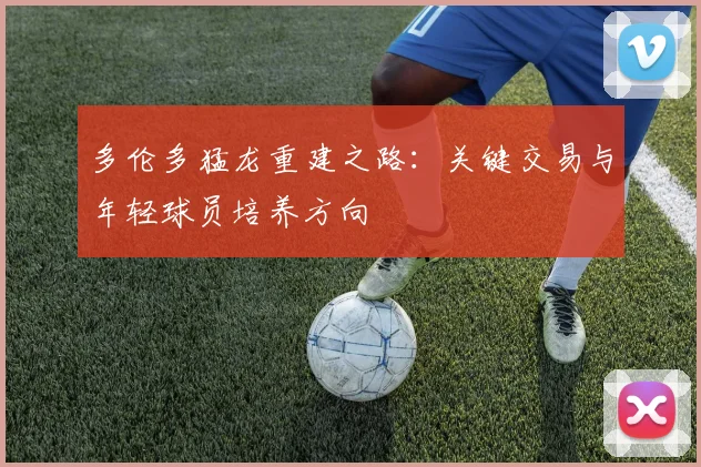 多伦多猛龙重建之路:关键交易与年轻球员培养方向